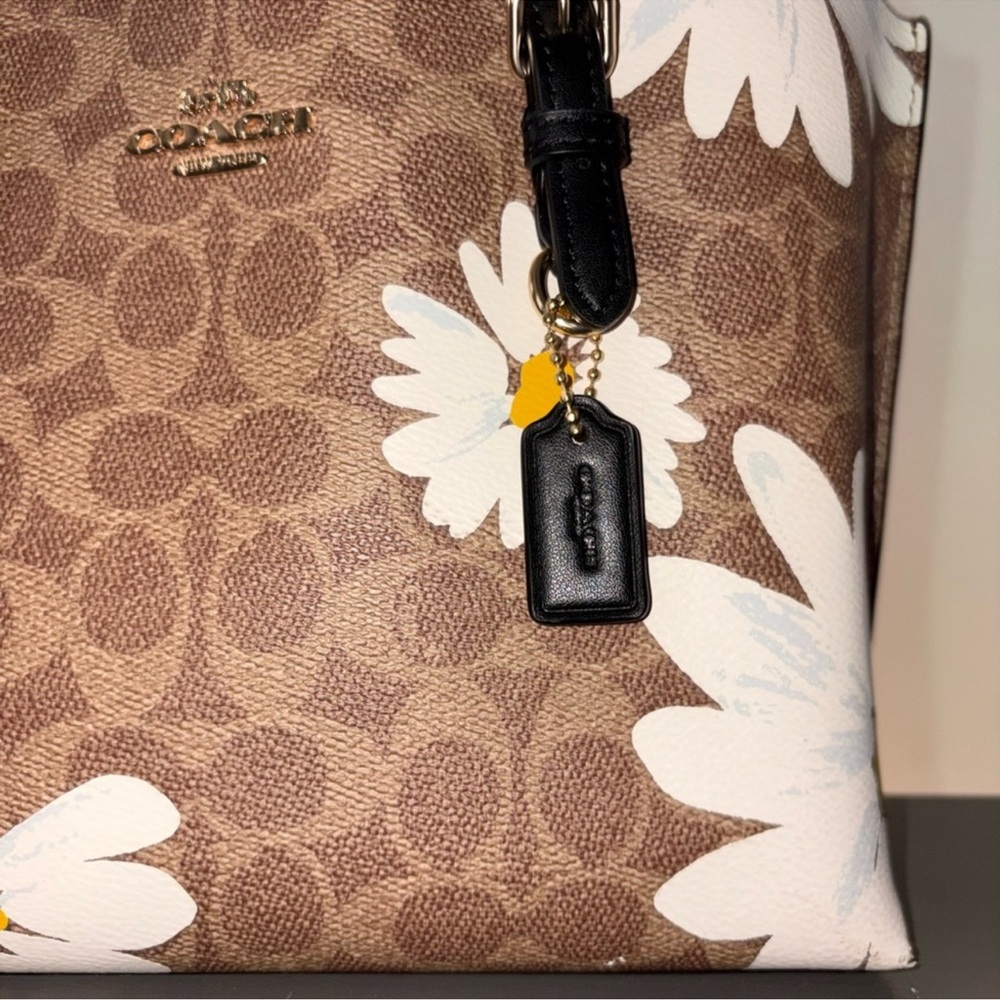 Coach Daisy Mollie 25 Bag - Picture 7 of 10